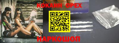 индика Шелехов