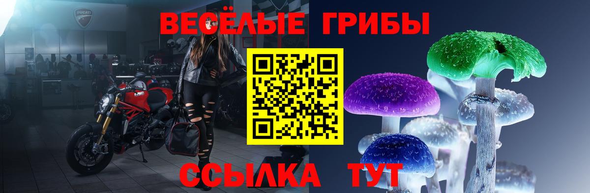 Псилоцибиновые грибы Magic Shrooms  Псилоцибиновые грибы MAGIC MUSHROOMS  Вход с VPN  Кимовск 